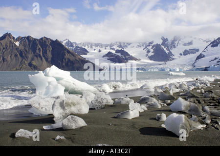 Ross Glacier South Georgia Antarctica Stock Photo