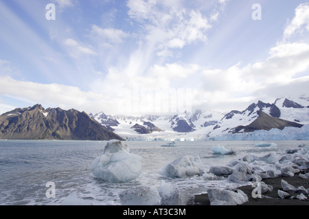 Ross Glacier South Georgia Antarctica Stock Photo