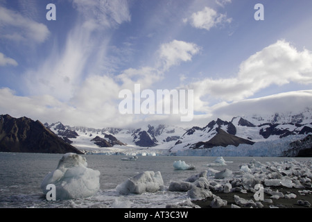 Ross Glacier South Georgia Antarctica Stock Photo