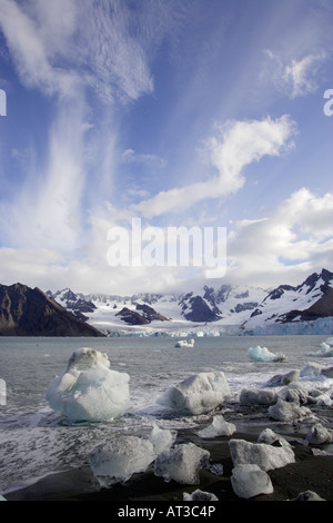 Ross Glacier South Georgia Antarctica Stock Photo