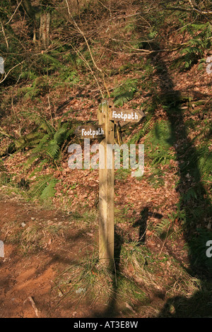 Wooden footpath sign in River Avill valley Snowdrop Valley Exmoor National Park Somerset UK Stock Photo