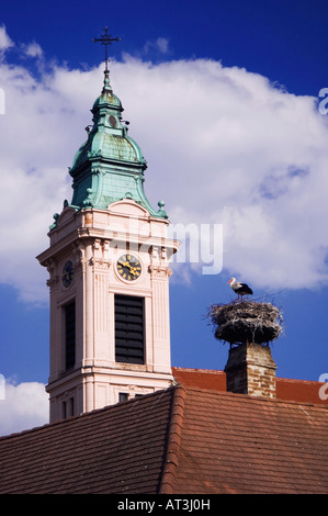 White Stork Ciconia ciconia adult on nest by church in Rust city Rust National Park Lake Neusiedl Burgenland Austria April 2007 Stock Photo