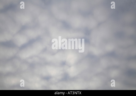 Altocumulus perlucidus small clumps of white clouds with blue showing through the gaps. Stock Photo