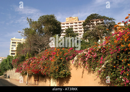 Senegal Dakar Central Rue Corniche Est bougainvillea covered wall Stock Photo