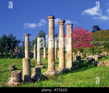GR - PELOPONNESE:  The Palaestra at Olympia