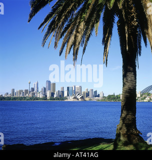 geography / travel, Australia, New South Wales, Sydney, view from Cremorne point, town, skyline, skyscraper, palm,