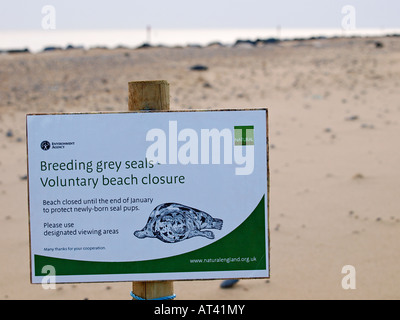 INFORMATION SIGN ON BEACH AT HORSEY PROTECTING GREY SEAL PUPS,HORSEY NORFOLK ENGLAND UK Stock Photo