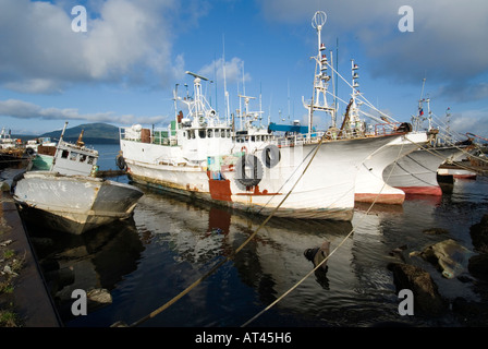 Fishing boats in harbour at Yuzhno Kurilsk on Kunashir Island in Kuril Islands in Russian Far East Stock Photo