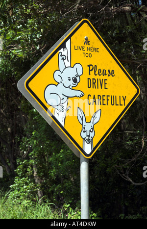 Road sign asking to drive slowing because of native animals, Noosa, Queensland, Australia Stock Photo