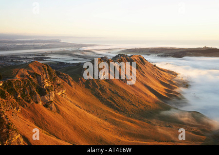 View of Te Mata Peak and Early Morning Mist Hawkes Bay North Island New Zealand Stock Photo