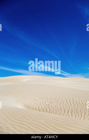 Sand dune Stock Photo