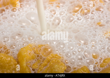 Cereal corn flakes a milk pouring on the cornflakes simple breakfast for kids overhead close up large high resolution horizontal in USA US hi-res Stock Photo