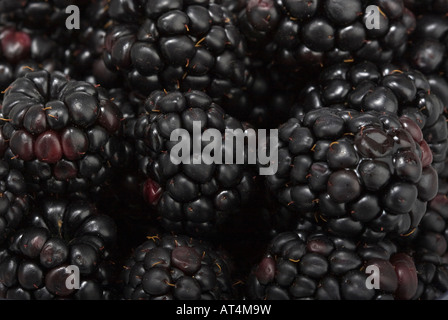 Blackberries fruit close up images pictures photos photograph overhead from above large high resolution horizontal in USA US hi-res Stock Photo