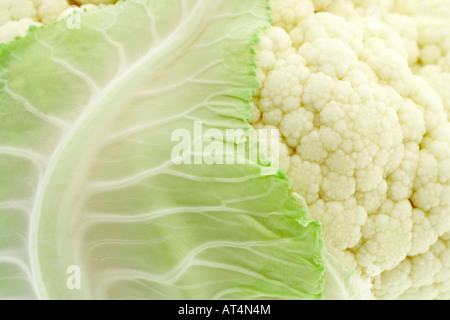 Close-up of Cauliflower Vegetable Stock Photo