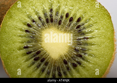 Green Kiwi fruit split in half Actinidia chinensis var deliciosa images  pictures photos images large high resolution horizontal in USA US hi-res Stock Photo