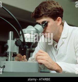 Researcher studying through low power binocular microscope in laboratory Stock Photo