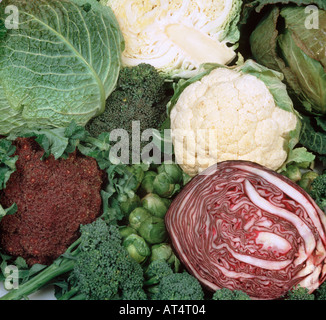 Brassica vegetables cauliflower cabbage brussels sprouts red cabbage Stock Photo