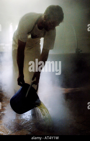 Cleaning the floor in cheese making area. Stock Photo