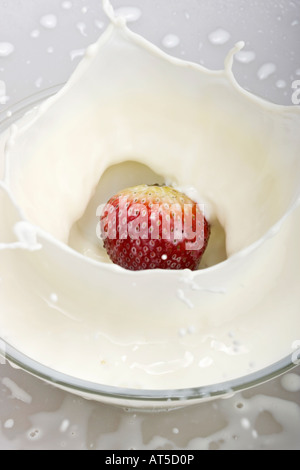 Close up view of red ripe Strawberry falling into milk with splashes color colour concept from above overhead top nobody none vertical hi-res Stock Photo