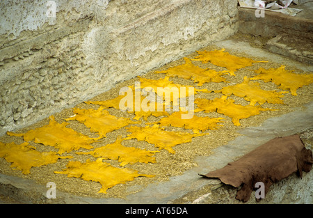 Skins out to dry, Fes Tannery, Morocco Stock Photo