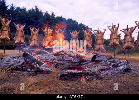 Saturna Island Lamb Barbecue, Southern Gulf Islands, BC, British Columbia, Canada - Annual Summer Barbeque around Open Fire Pit Stock Photo