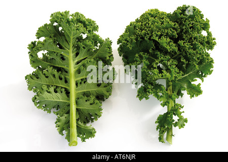 Kale, close-up Stock Photo