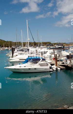 marina boat yacht sea water playboy relax airlee beach queensland Proserpine Airlee Beach boat ship marina yacht blue sky tropic Stock Photo