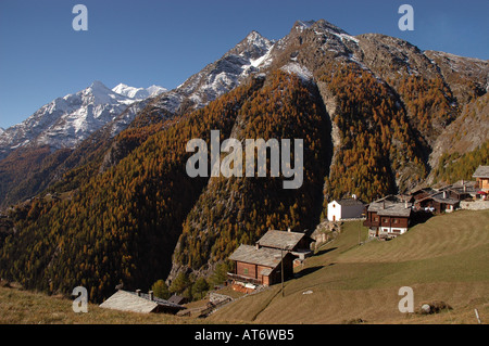 Alp village Jungen above Nikolai valley in back Mount Weisshorn autumn, yellow larch trees, Valais or Wallis alps Switzerland Stock Photo