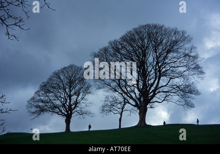 Winter on the Approach Golf Course Bath Spa, Somerset, England UK Stock Photo