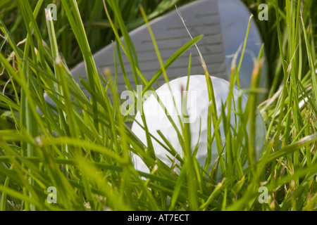 Close up of white golf ball in long rough grass with driver behind at low angle. England UK Stock Photo