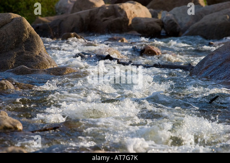 A rushing stream cascades over rocks in the Colorado Rockies. Stock Photo