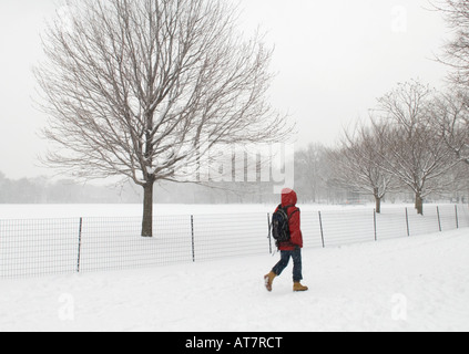 Man Walking in Central Park NYC During a Snowstorm Stock Photo