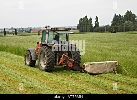 Tractor mowing long grass for hay making Belgium Stock Photo