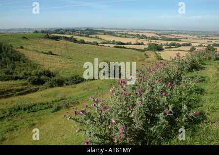 Burrough Hill Country Park, Leicestershire, England, Uk Stock Photo