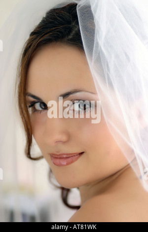 Portrait of beautiful bride in wedding dress and veil. Stock Photo