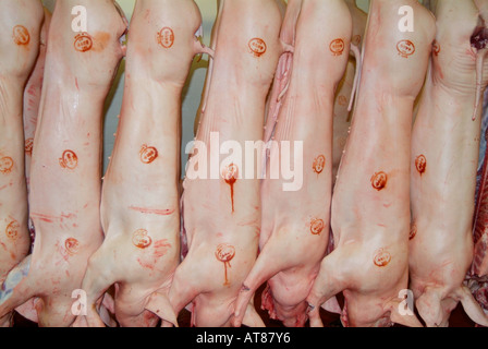 Pork pig bovine Pink skin Abattoir carcasses skin bone flesh dead meat livestock bacon chiller side slaughter house carcass Stock Photo