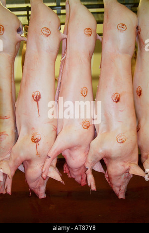 Pork pig bovine Pink skin Abattoir carcasses skin bone flesh dead meat livestock bacon chiller side slaughter house carcass Stock Photo