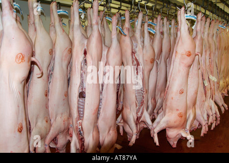 Pork pig bovine Pink skin Abattoir carcasses skin bone flesh dead meat livestock bacon chiller side slaughter house carcass Stock Photo