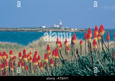 Coquet Island near Amble, Northumberland. Stock Photo