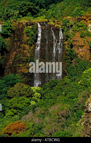 Beautiful Opaekaa Falls (rolling shrimp in Hawaiian) cascades amid lush green vegetation in Wailua, on Kauai's east side. Stock Photo