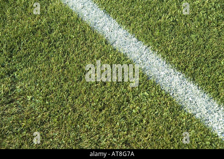 white line in grass Stock Photo