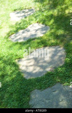 Garden Path With Stone Stepping Stones And Plantings Of Bearded Iris To ...