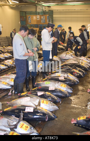 People visit Tsukiji fish market in Tokyo Japan Stock Photo - Alamy