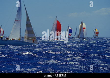 Pan Am Clipper Cup Stock Photo - Alamy