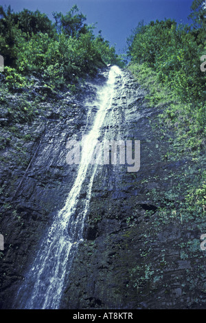 Manoa Falls: gentle waterfall with trail and mountain pool near Honolulu Stock Photo