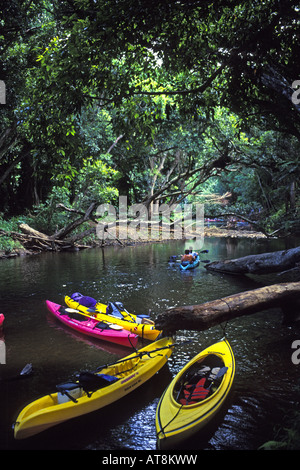 Couple paddles beyond tethered kayaks left by kayakers who are on a hike to Secret Falls, Wailua River State Park, Kauai Stock Photo