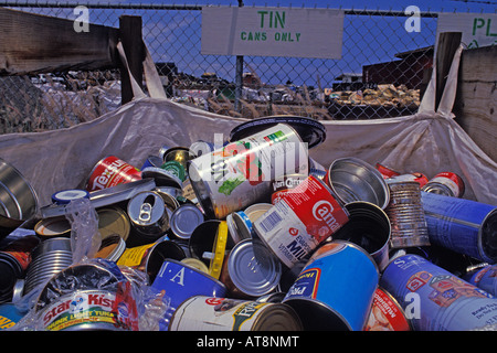A recycling bin holds various empty tin cans. Stock Photo