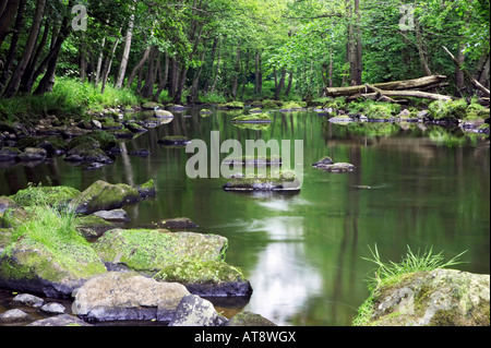 A quiet stretch of the River Esk near Egton Bridge and Glaisdale in the glacial Esk Valley. North Yorkshire Moors National Park Stock Photo