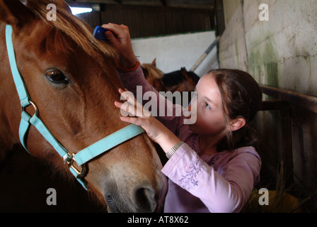 Young girl grooming a pony Stock Photo