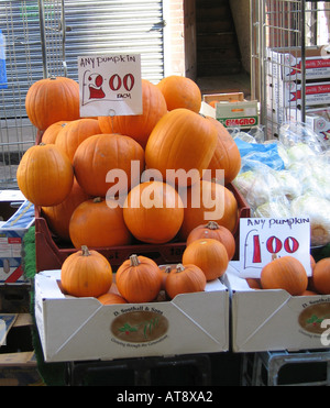 Punpkins for Sale in Berwick Street Market Soho London Stock Photo